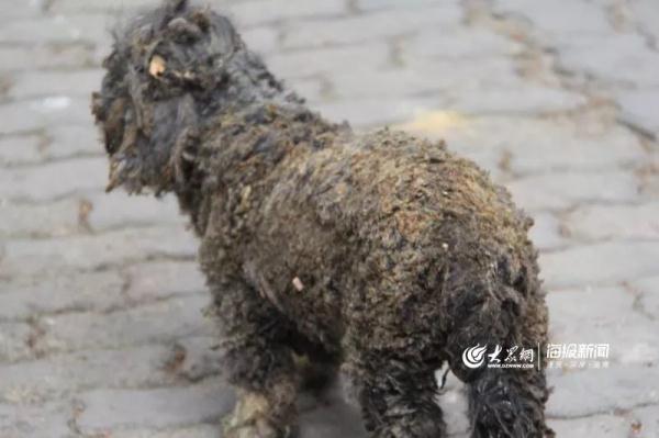 突發(fā)！青島一居民樓發(fā)生爆燃！已造1人死亡，7人受傷！3公里外有震感…